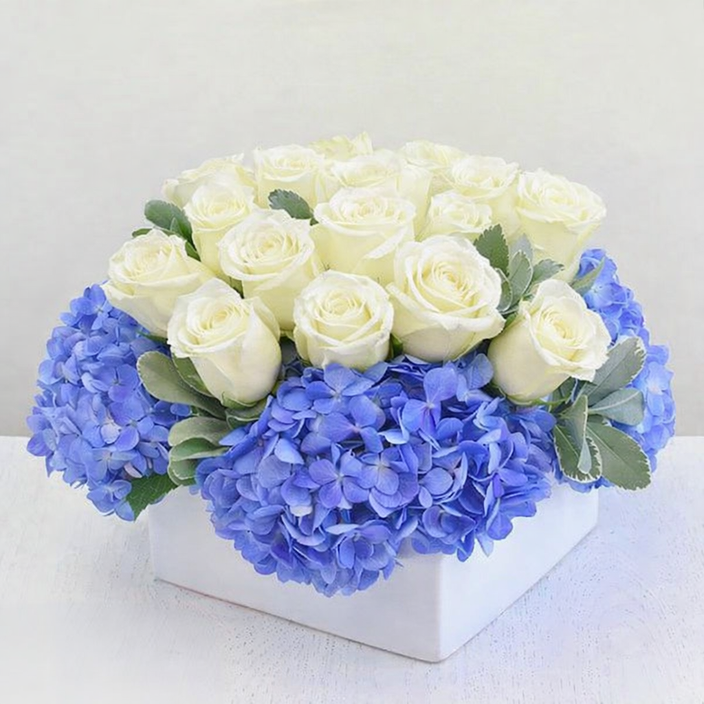 ONE-TWO DOZEN ROSES - Spring Forward