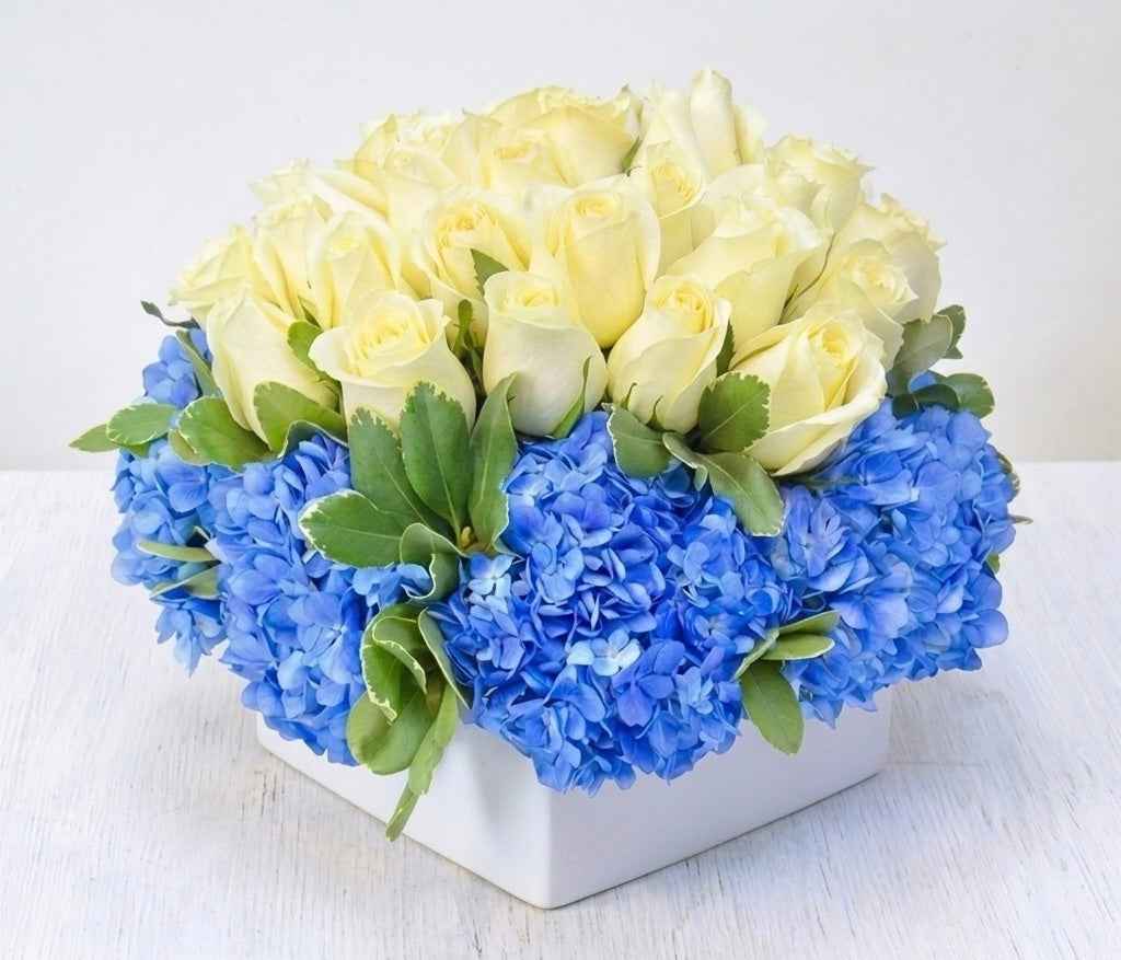 ONE-TWO DOZEN ROSES - Spring Forward