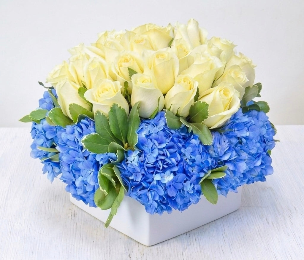 ONE-TWO DOZEN ROSES - Spring Forward