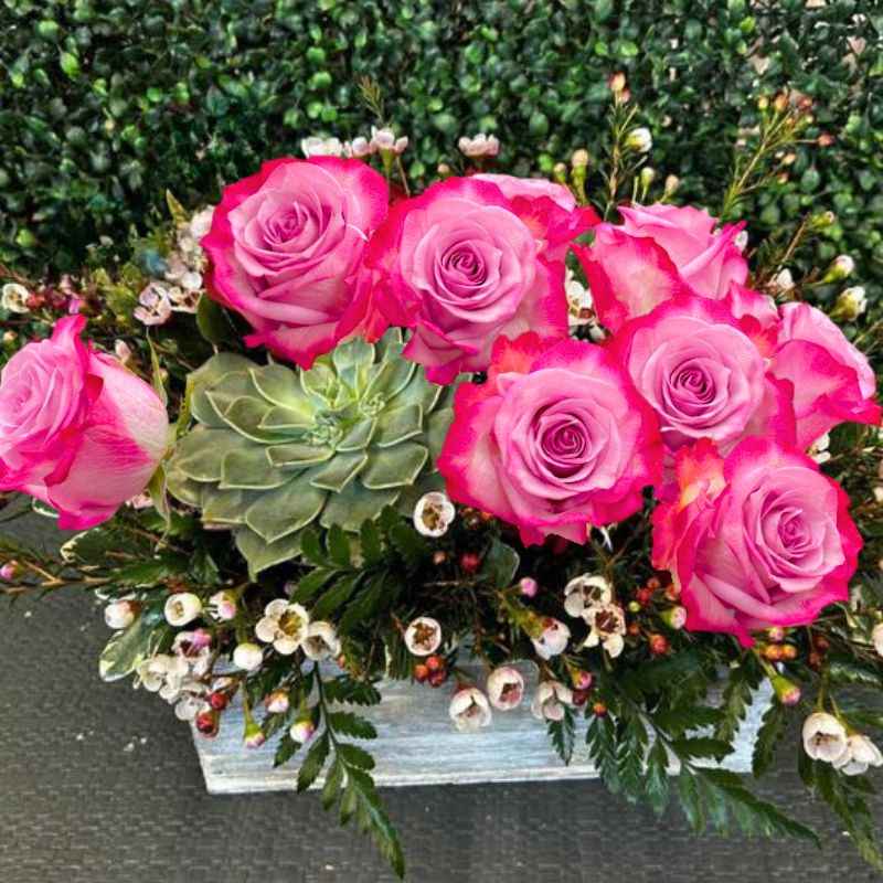 Lovely Gesture