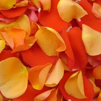 Rose Petals - Tiger Lily Floral