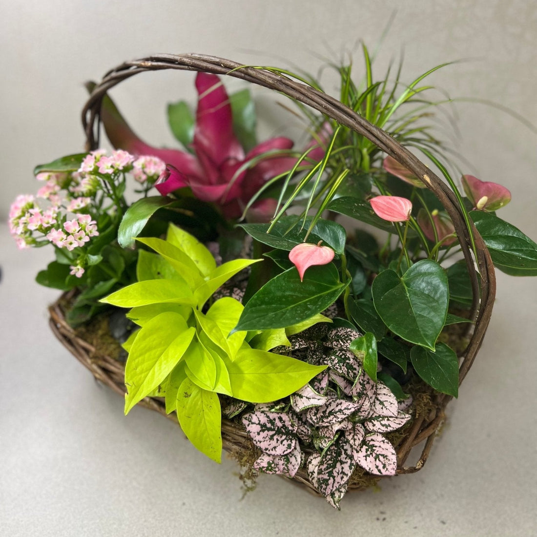 Tropical Planter Basket - Tiger Lily Floral