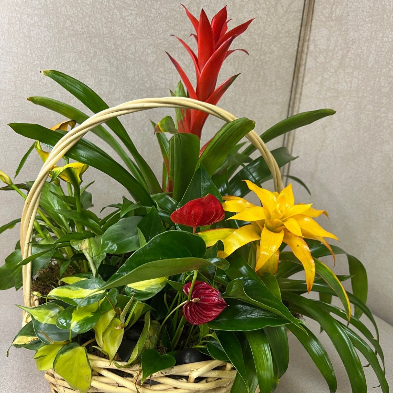 Tropical Planter Basket - Tiger Lily Floral