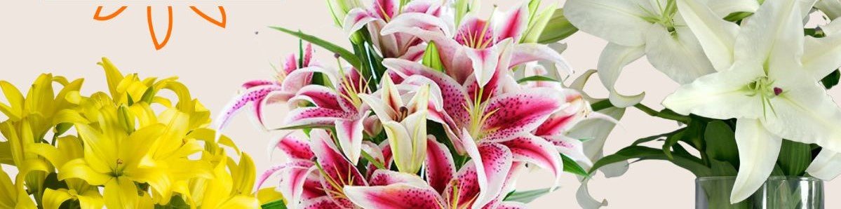 Valentine's Day - Lilies - Tiger Lily Floral