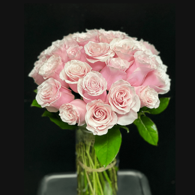 2 Dozen Roses