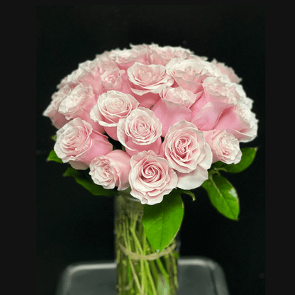 2 Dozen Roses