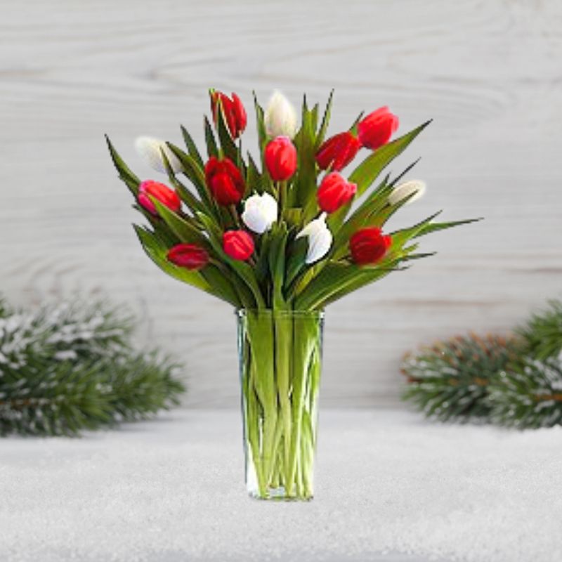 Holiday Tulips