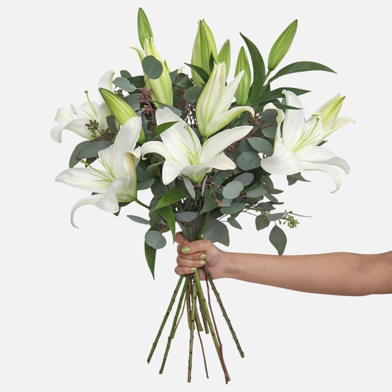 Classic White Lilies
