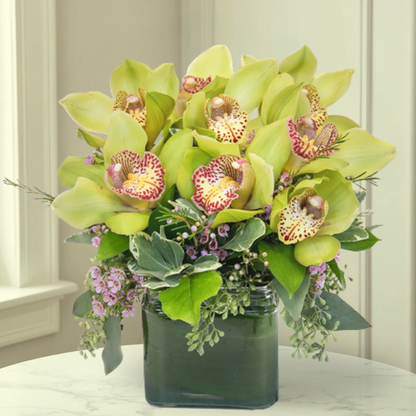 lily orchid flower Cymbidium Orchids | Lovely Orchids