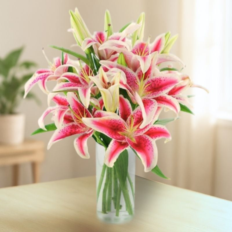 You Are A Star Lilies