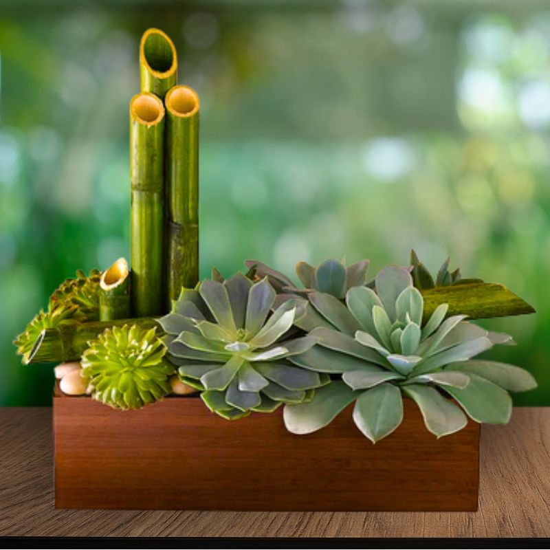 Peaceful Zen Succulent Garden