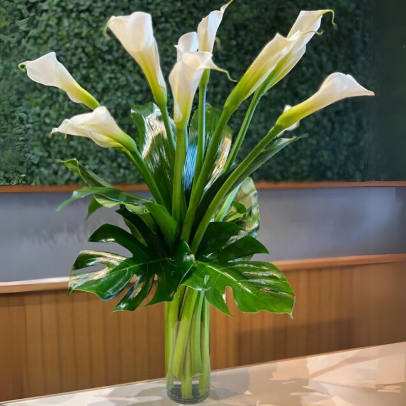 Elegant Calla