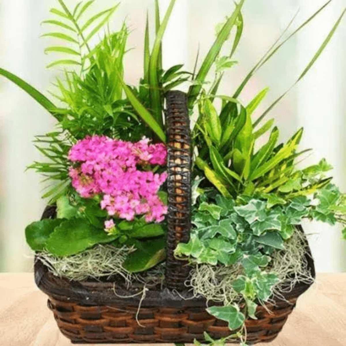 Blooming Planter Basket - Tiger Lily Floral