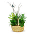 Butterfly Planter Basket - Tiger Lily Floral