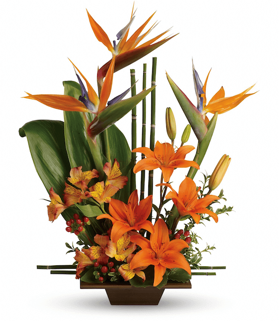 Exotic Birds of Paradise - Tiger Lily Floral