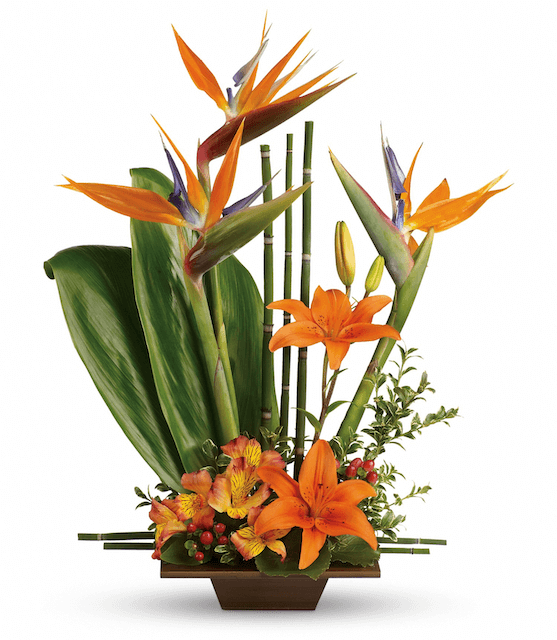 Exotic Birds of Paradise - Tiger Lily Floral