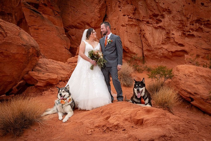 Bride and groom with their two huskies at a red rock desert wedding in Las Vegas, bride holding a garden-style bouquet