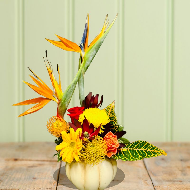 Pumpkin Bliss - Tiger Lily Floral