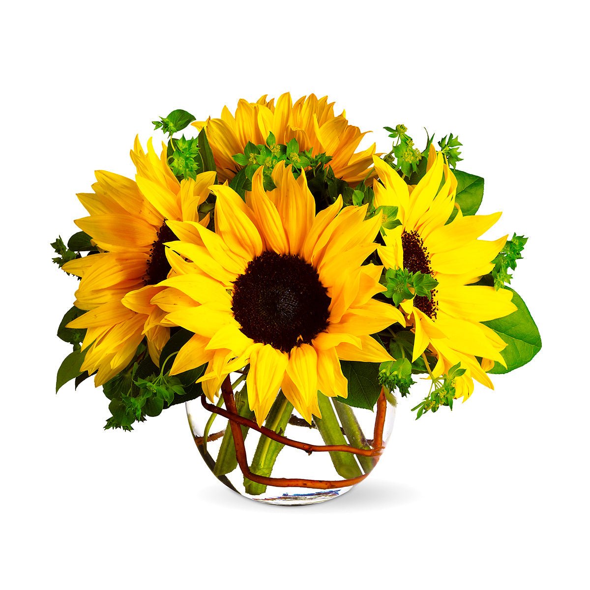 Sunny Sunflowers - Tiger Lily Floral