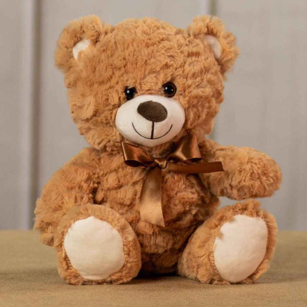 teddy-bear-584039_grande.jpg?v