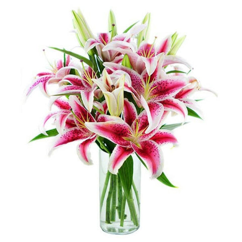You Are A Star Lilies